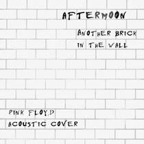 AFTERMOON - Another Brick In The Wall (Pink Floyd acoustic cover)