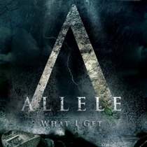 Allele - What I Get