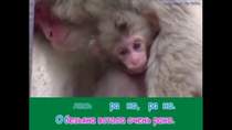 Анне Вески - Песня про обезьяну