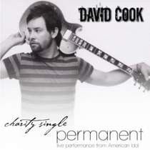 David Cook - Permanent (минус (-3))