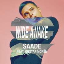 Eric Saade - I will be popular (Евровидение 2011 Швеция)