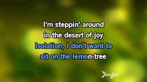 Fools Garden - Lemon Tree (Минус)
