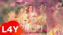 Katy Perry - Birthday (минус)