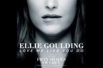 Минус - Ellie Goulding - Love Me Like You Do (0,5)