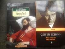 Александр Кривошапко - Мне осталась одна забава