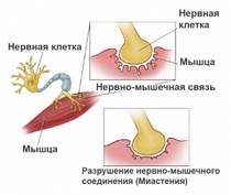 Немного Нервно - Когда Кончится Война