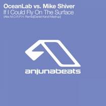 OceanLab vs Mike Shiver - If I Could Fly On The Surface (Daniel Kandi Mashup)