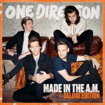 One Direction [Made In The A.M.] - What a Feeling