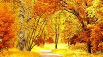 Осень золотая - Листик желтый