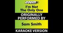Platinum Karaoke Hits - Like I Can (Instrumental) [Karaoke In the Style of Sam Smith]