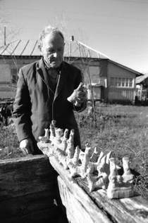 Русский Север (город Череповец, Вологодской области) - Посеяли девки лен