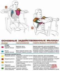 посвящение учителям (минус) - со словами