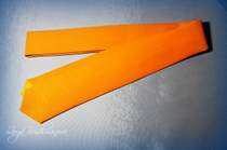 Браво - Стильный оранжевый галстук