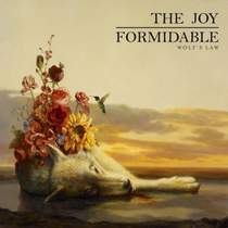 The Joy Formidable - 9669