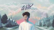 troye sivan x shawn mendes - the wild weight